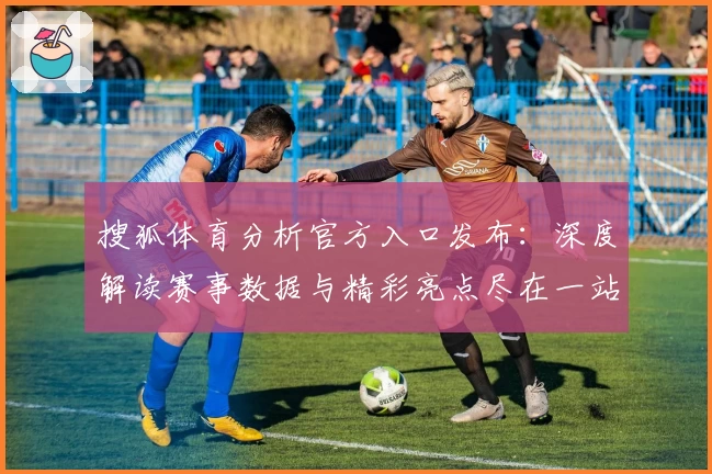 搜狐体育分析官方入口发布：深度解读赛事数据与精彩亮点尽在一站式平台