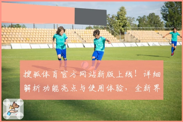 搜狐体育官方网站新版上线！详细解析功能亮点与使用体验，全新界面更贴合用户需求