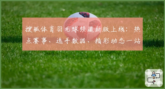 搜狐体育羽毛球频道新版上线：热点赛事、选手数据、精彩动态一站式尽览
