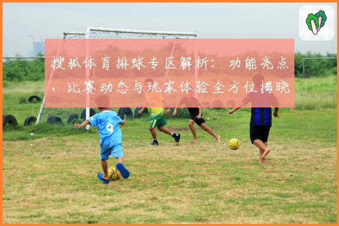 搜狐体育排球专区解析：功能亮点、比赛动态与玩家体验全方位揭晓