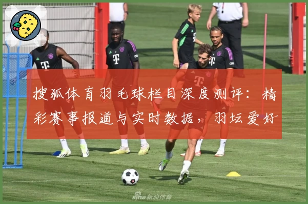 搜狐体育羽毛球栏目深度测评：精彩赛事报道与实时数据，羽坛爱好者必看指南