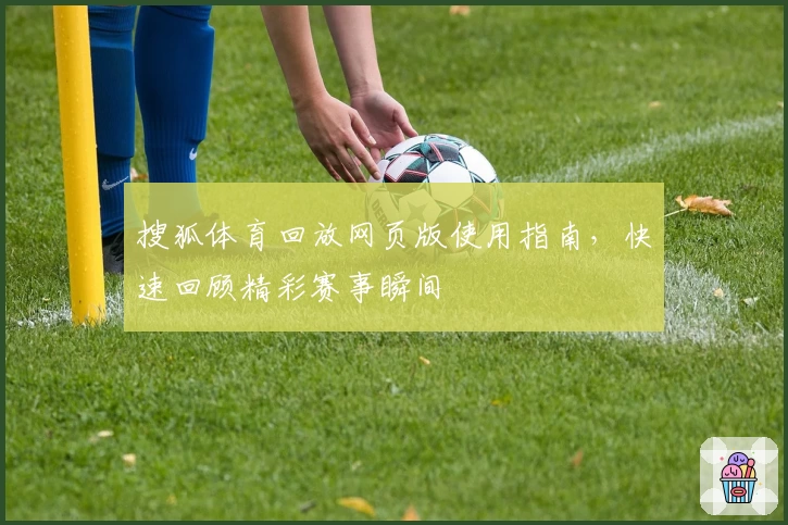 搜狐体育回放网页版使用指南，快速回顾精彩赛事瞬间