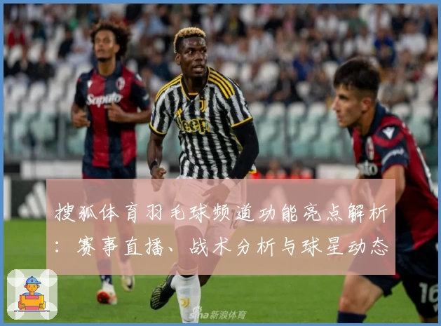 搜狐体育羽毛球频道功能亮点解析：赛事直播、战术分析与球星动态一站尽览