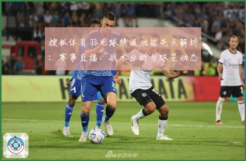 搜狐体育羽毛球频道功能亮点解析：赛事直播、战术分析与球星动态一站尽览